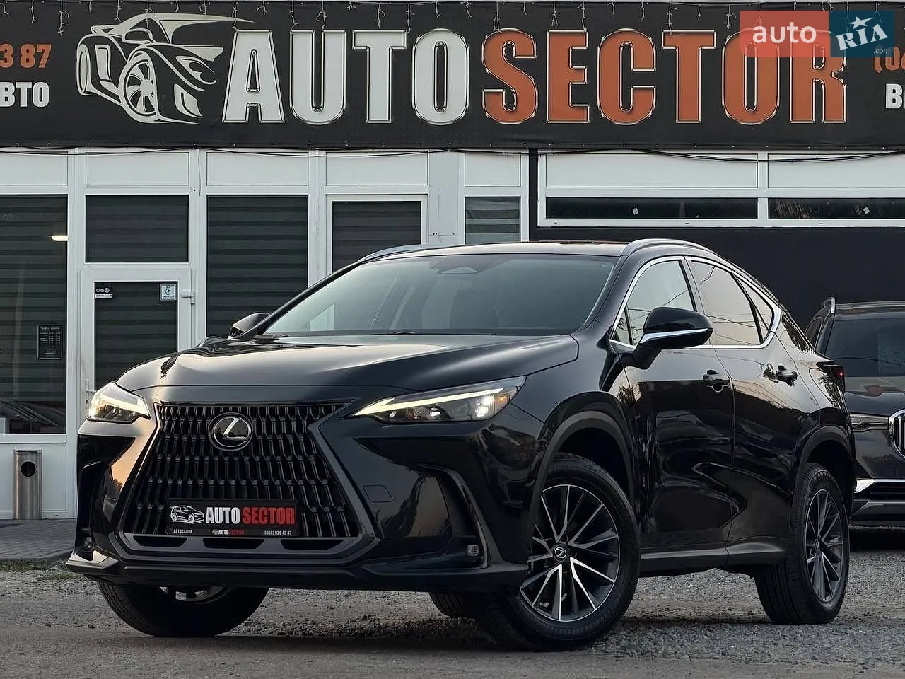 Позашляховик / Кросовер Lexus NX 2023 в Харкові фото 2