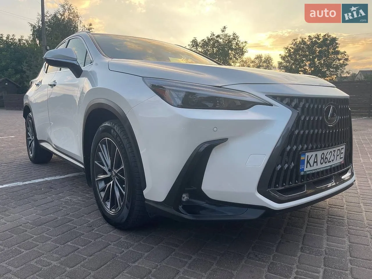 2022 Lexus NX - мініатюра 2