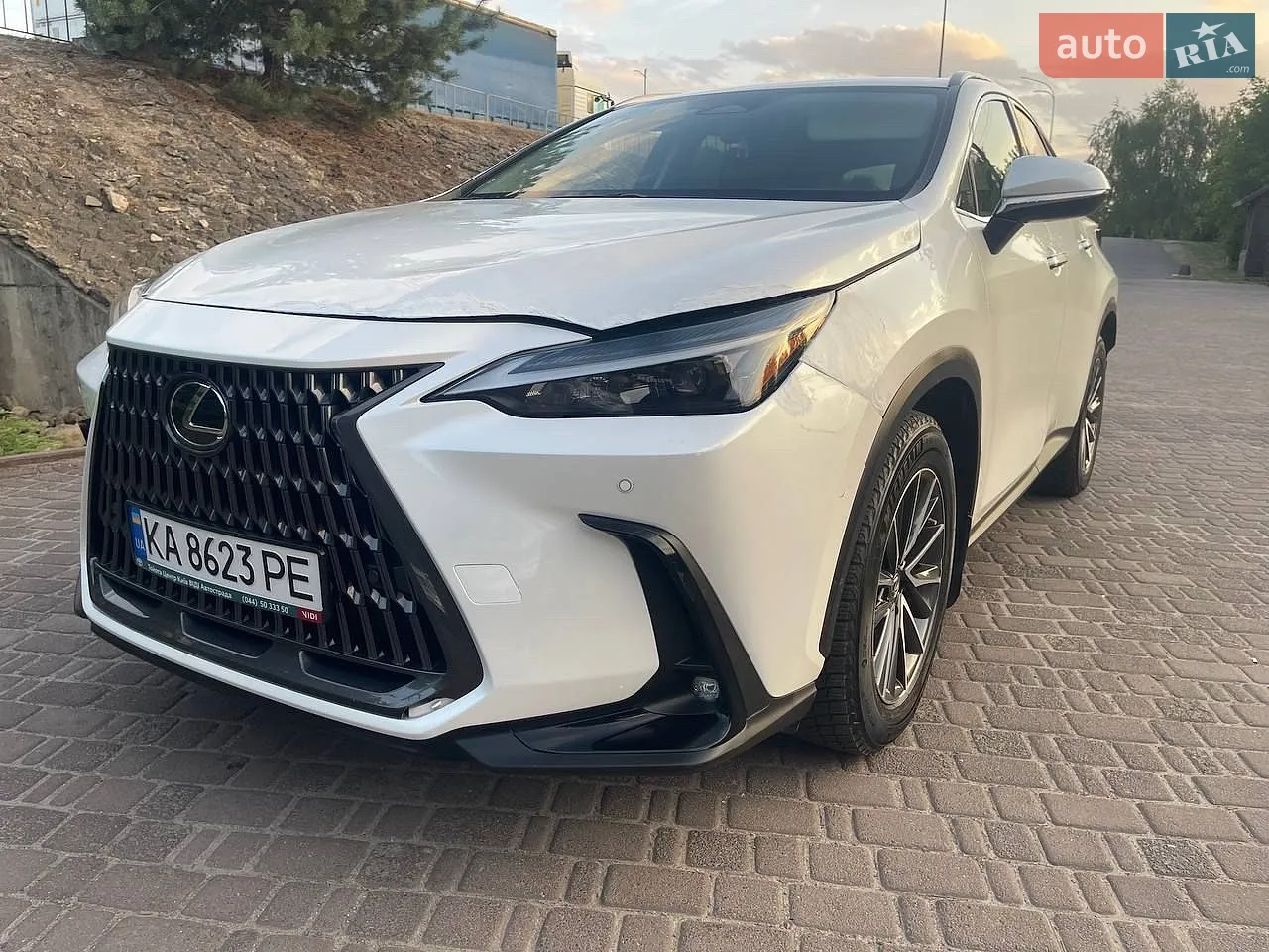 2022 Lexus NX - мініатюра 4