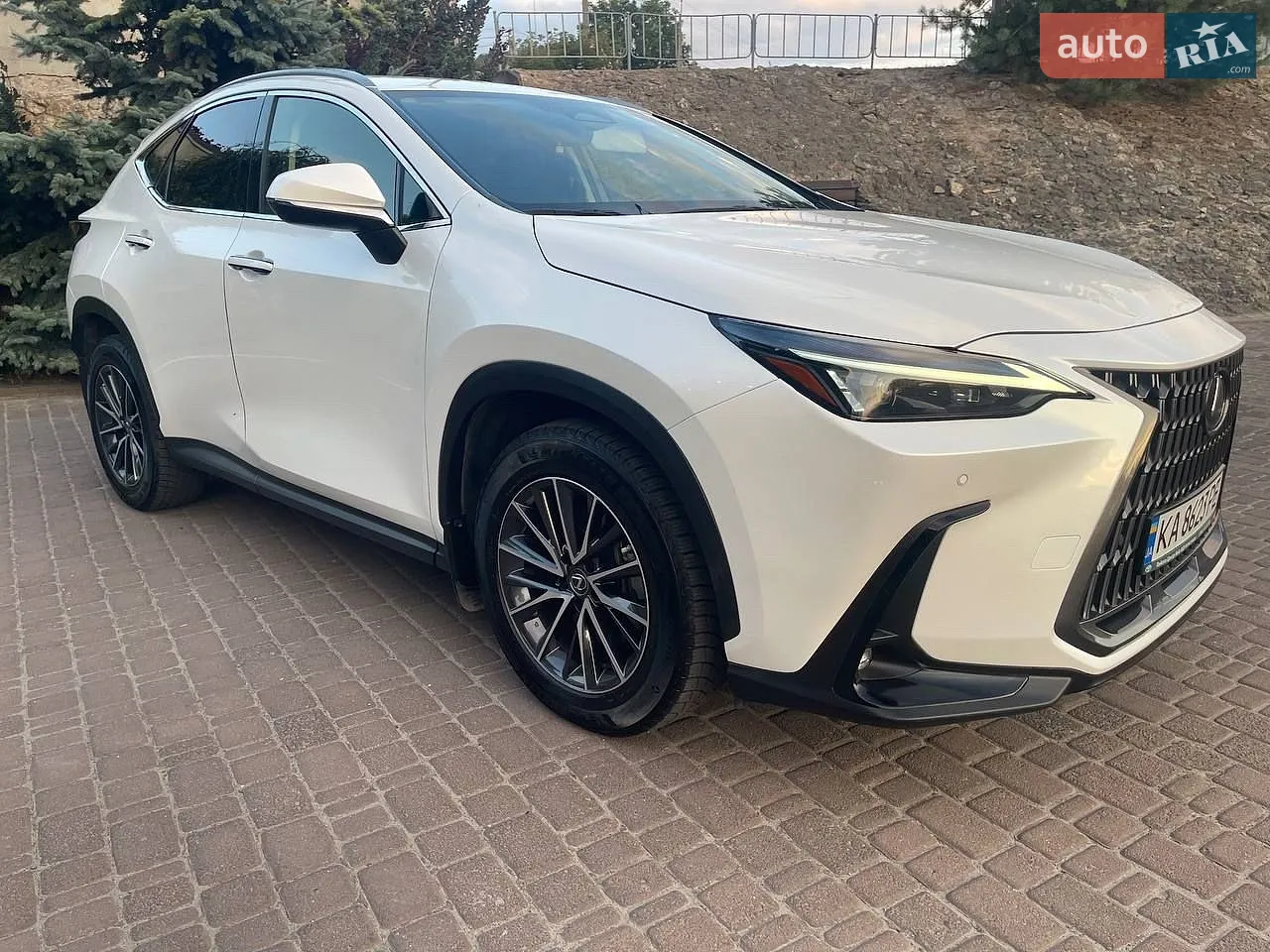 2022 Lexus NX - мініатюра 15