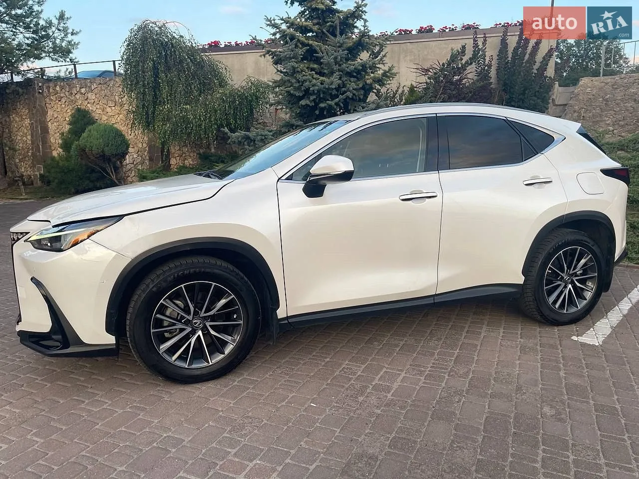 2022 Lexus NX - мініатюра 16