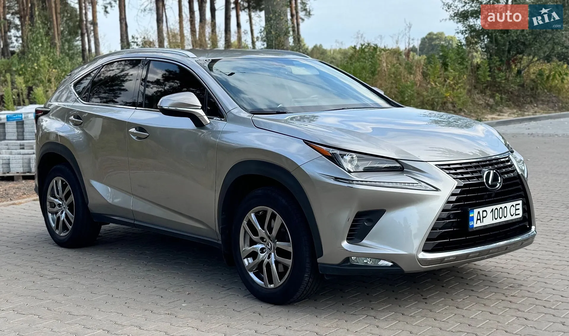 2019 Lexus NX - мініатюра 11