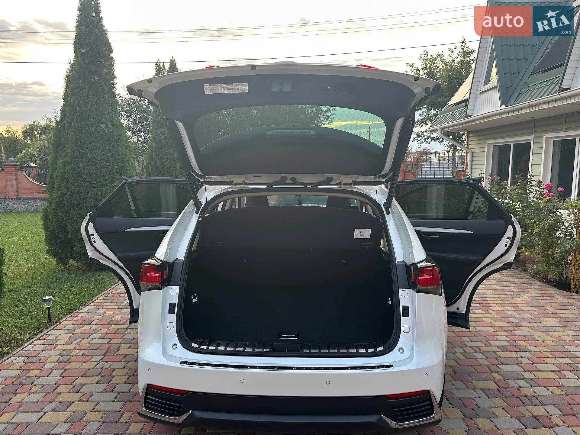 2020 Lexus NX - мініатюра 2