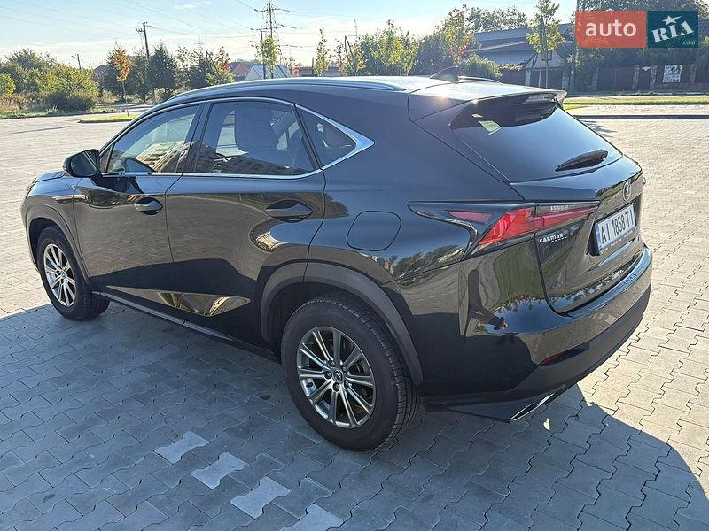 Внедорожник / Кроссовер Lexus NX 2019 в Киеве