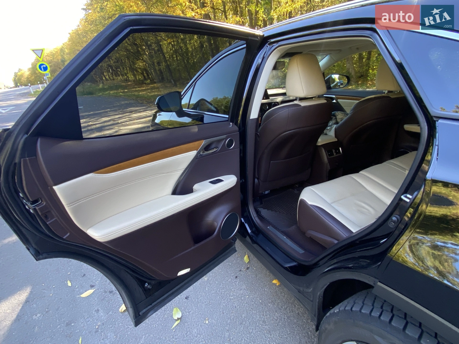 2019 Lexus RX - мініатюра 24