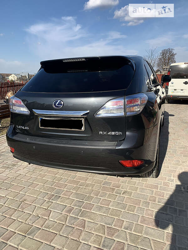 Позашляховик / Кросовер Lexus RX 2009 в Тернополі фото 6 Позашляховик / Кросовер Lexus RX 2009 в Тернополі