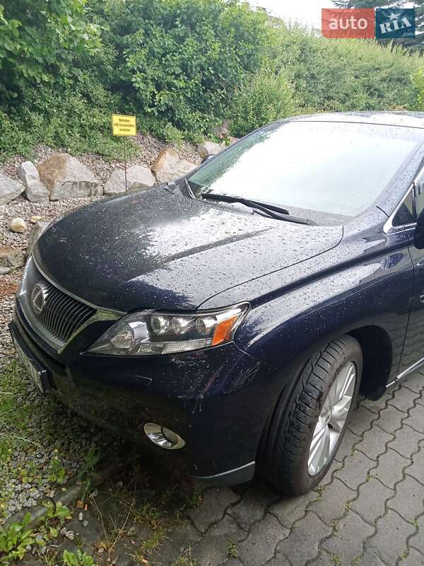 Позашляховик / Кросовер Lexus RX 2009 в Миколаєві