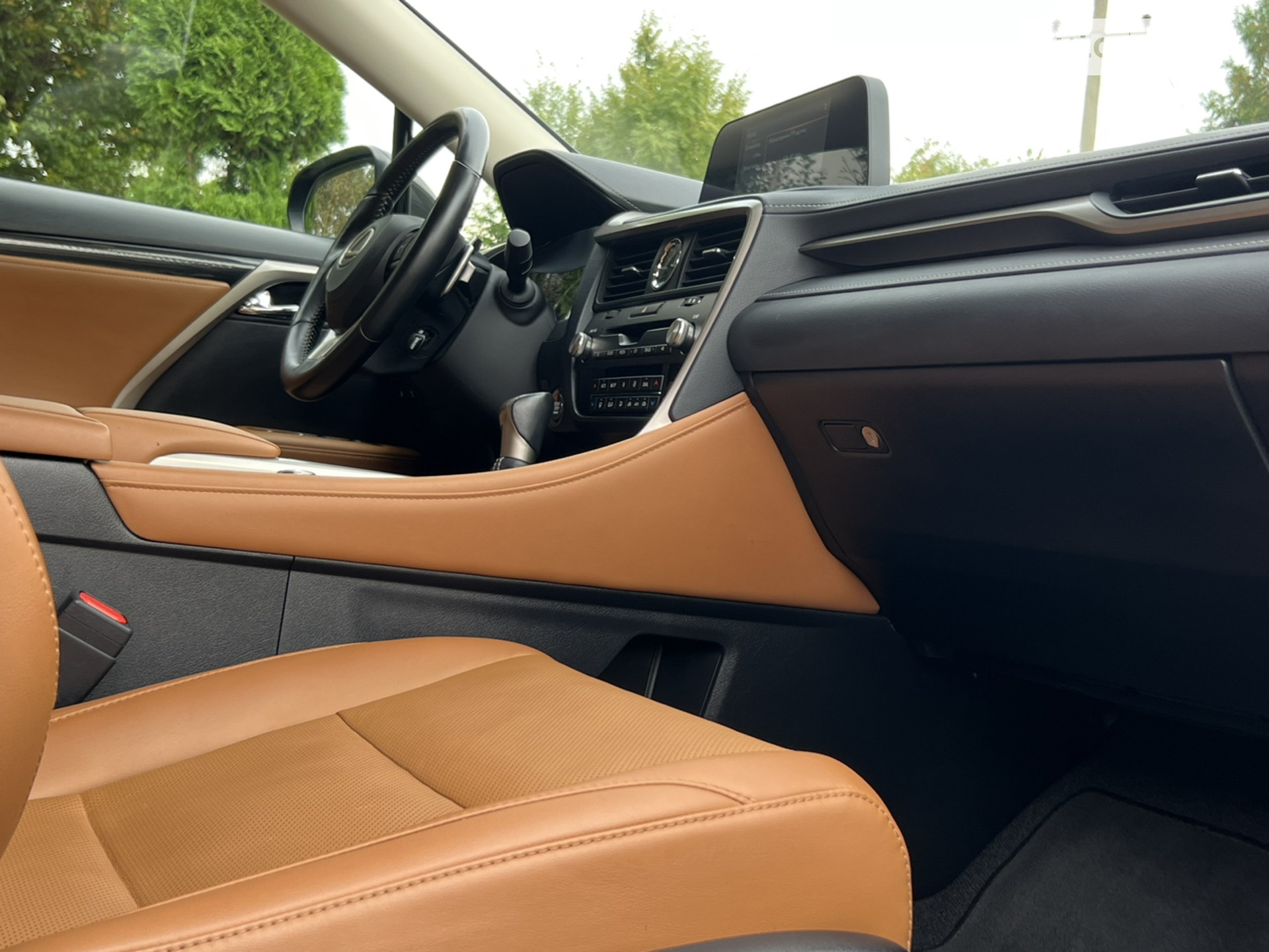 2019 Lexus RX - мініатюра 66