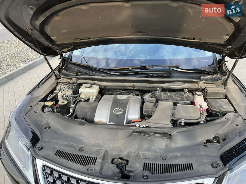 Внедорожник / Кроссовер Lexus RX 2020 в Днепре