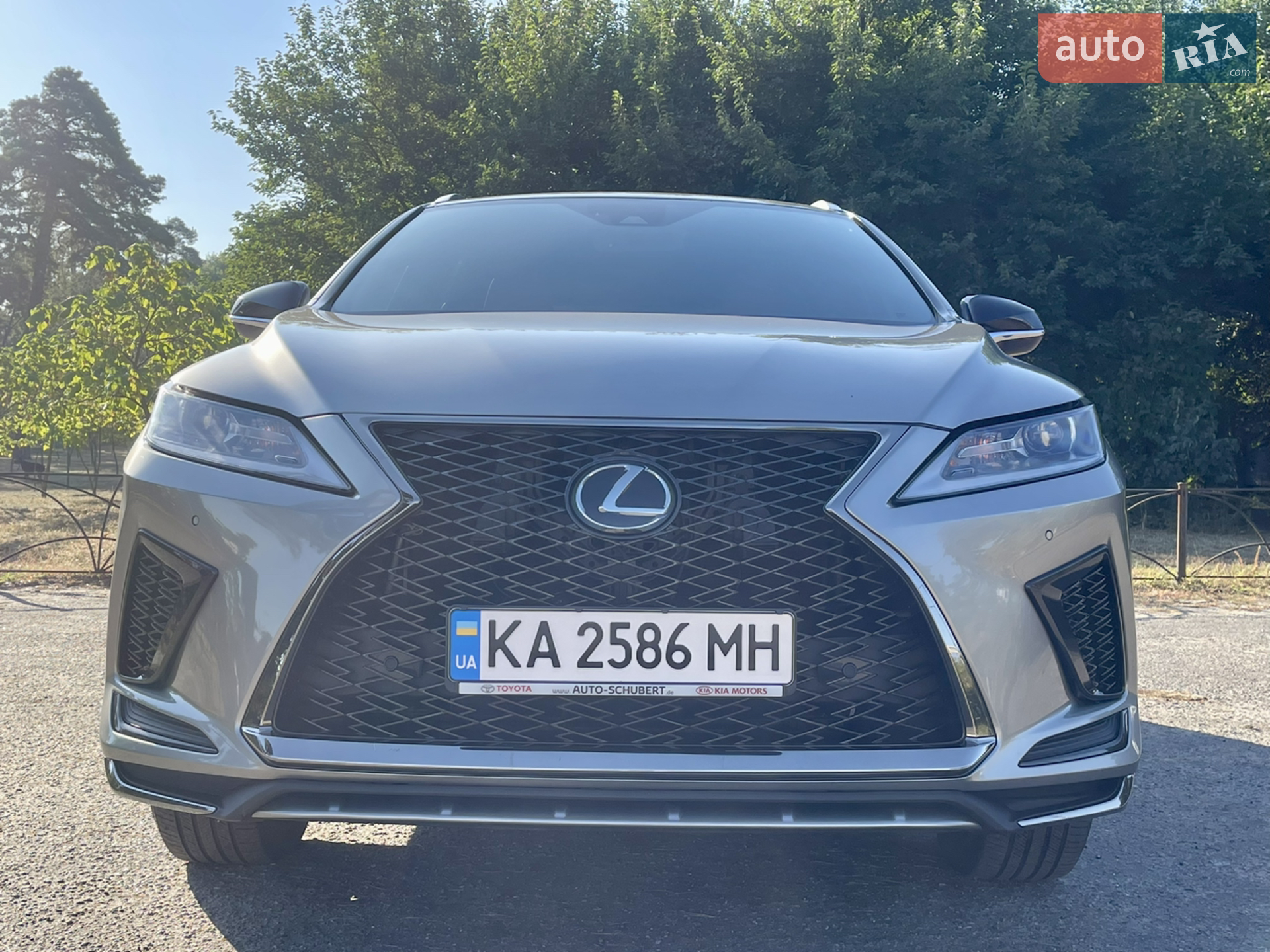 2021 Lexus RX - мініатюра 2