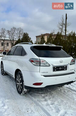 Внедорожник / Кроссовер Lexus RX 2009 в Балаклее