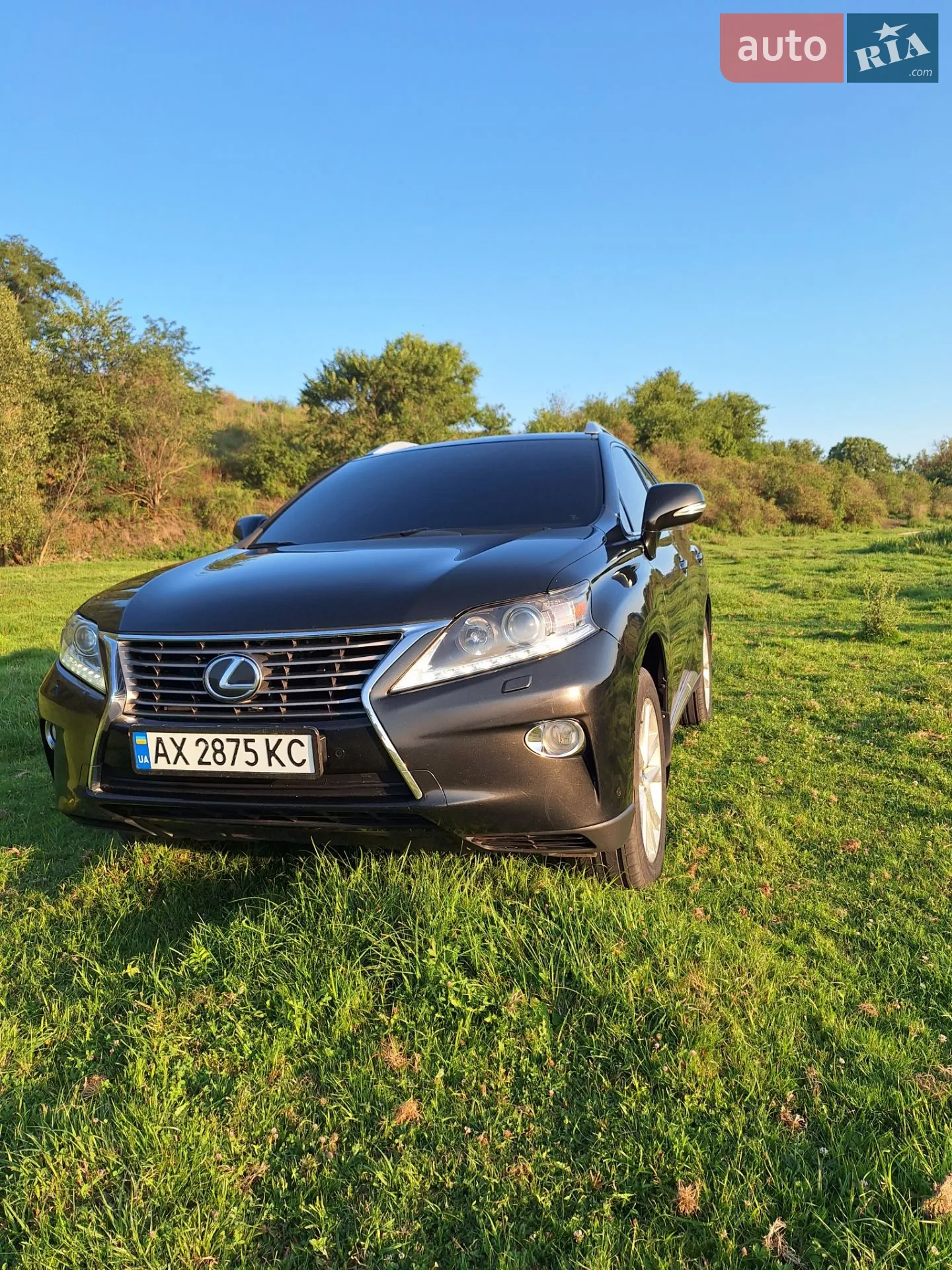 2013 Lexus RX - фото 1