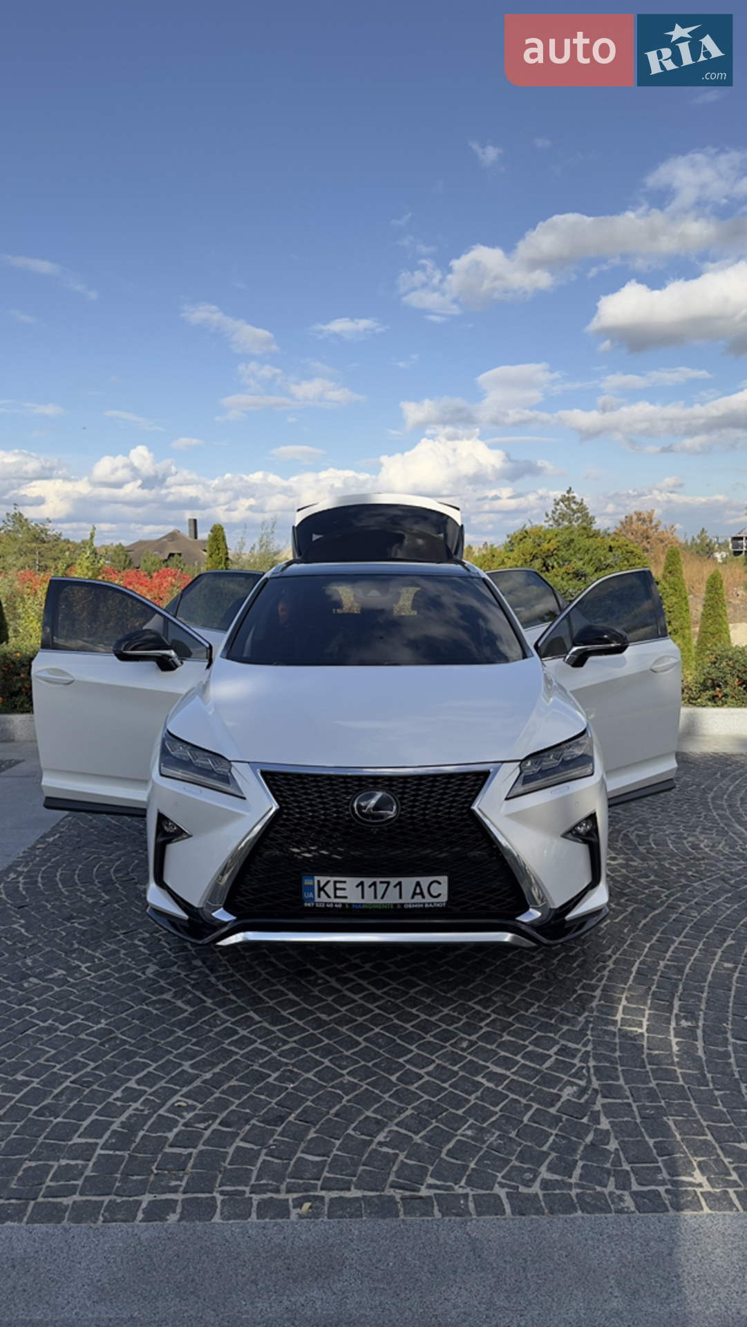 2019 Lexus RX - мініатюра 2
