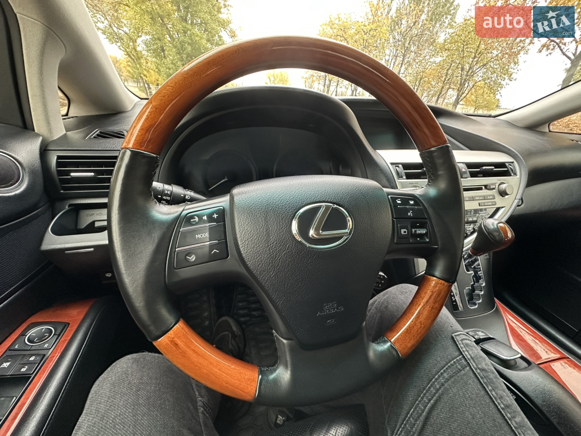 2010 Lexus RX - мініатюра 46