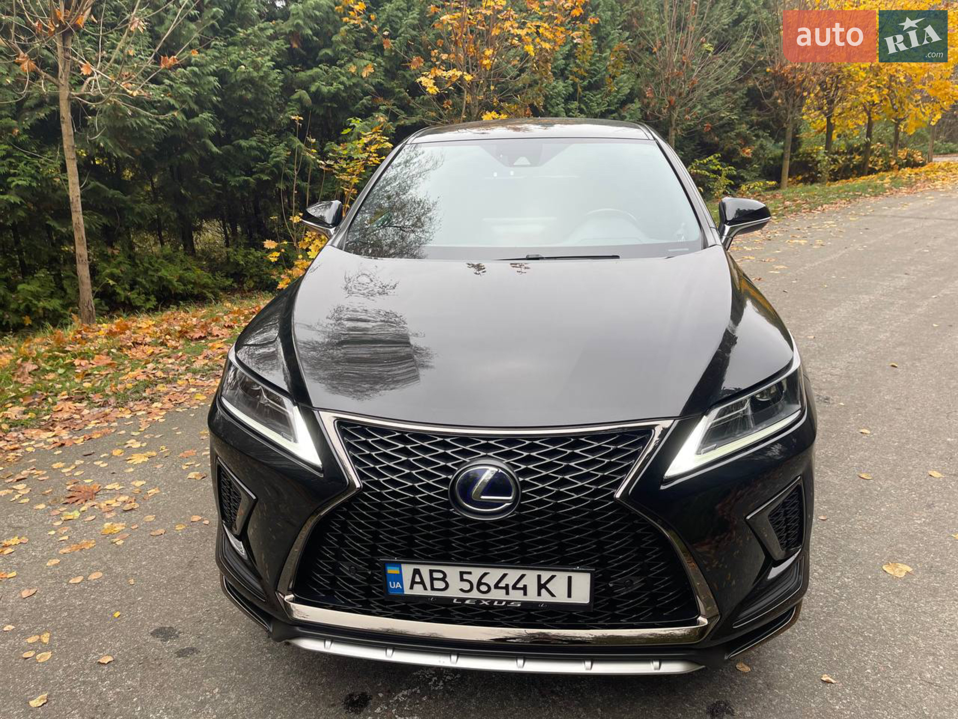 2020 Lexus RX - мініатюра 27