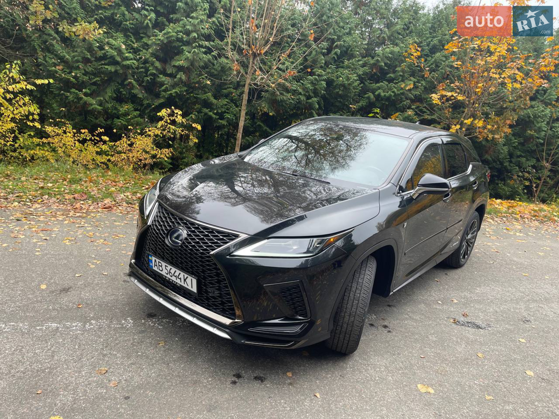 2020 Lexus RX - мініатюра 28