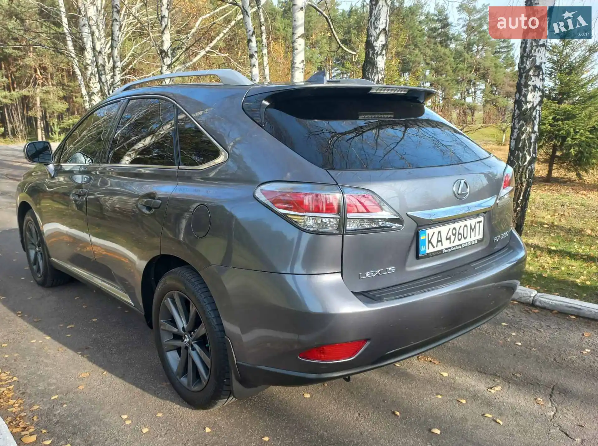 2014 Lexus RX - мініатюра 10