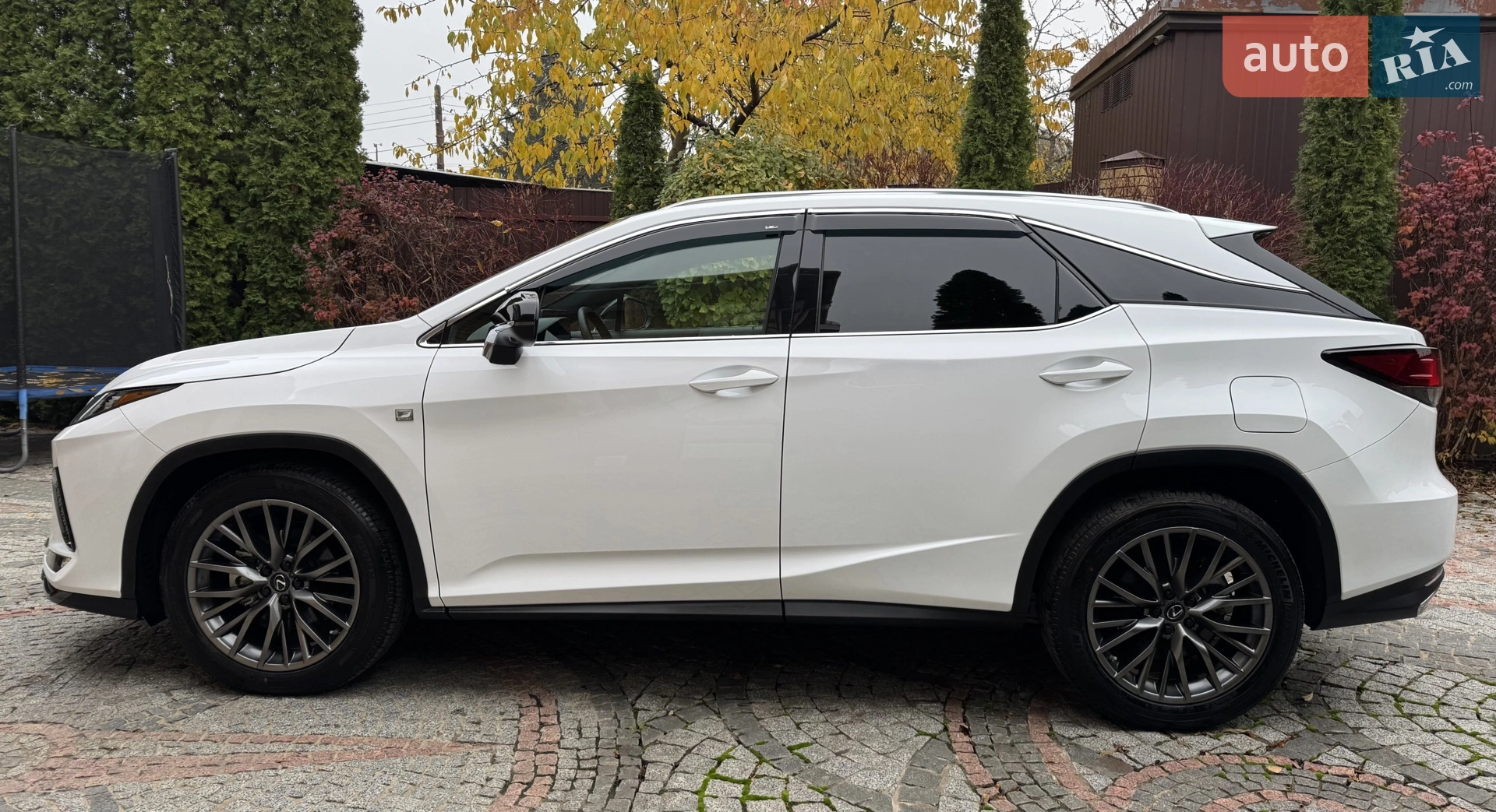 2021 Lexus RX - мініатюра 6