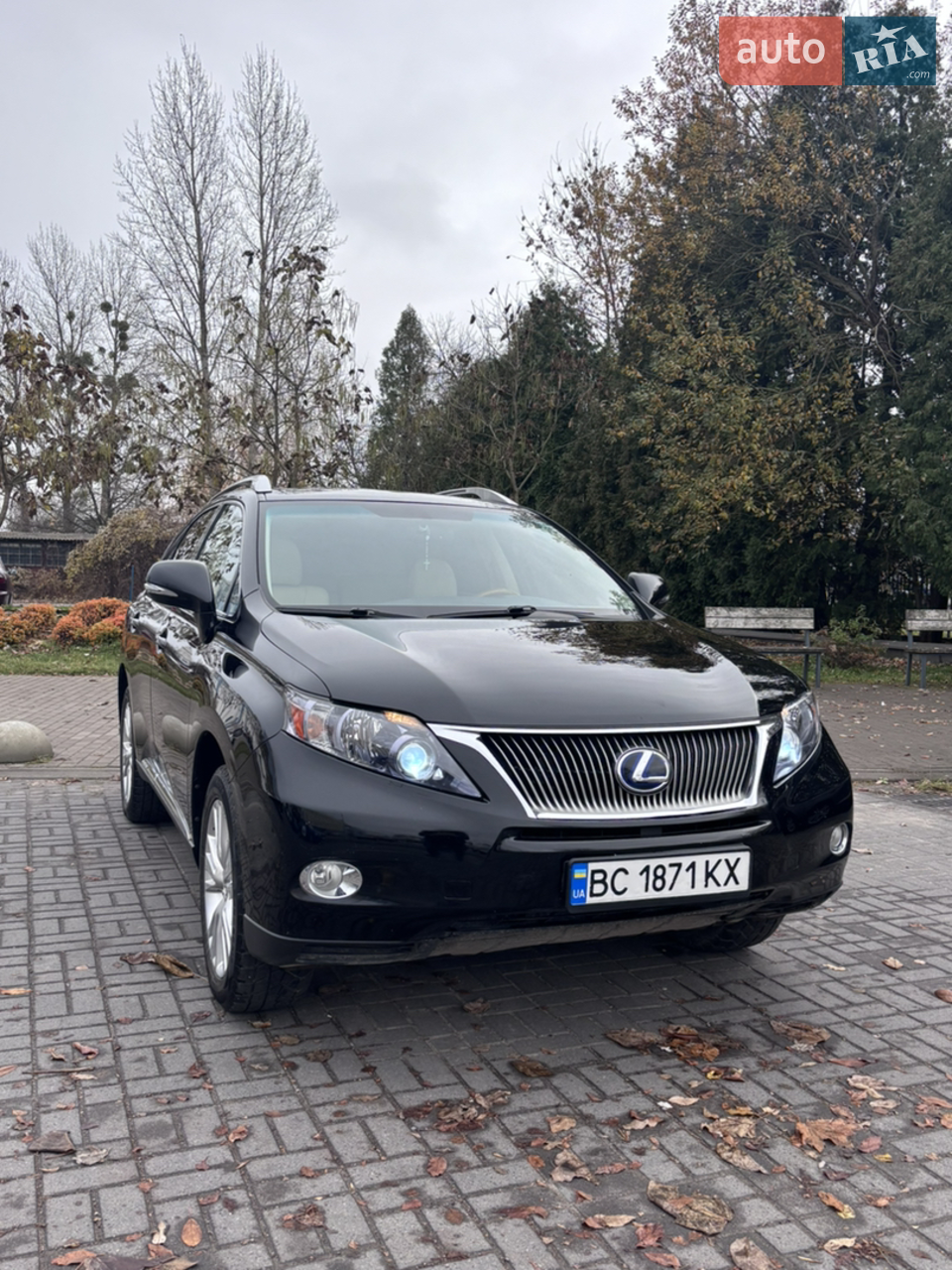2010 Lexus RX - мініатюра 8