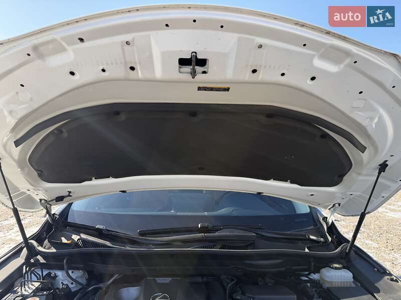 Позашляховик / Кросовер Lexus RX 2020 в Дніпрі