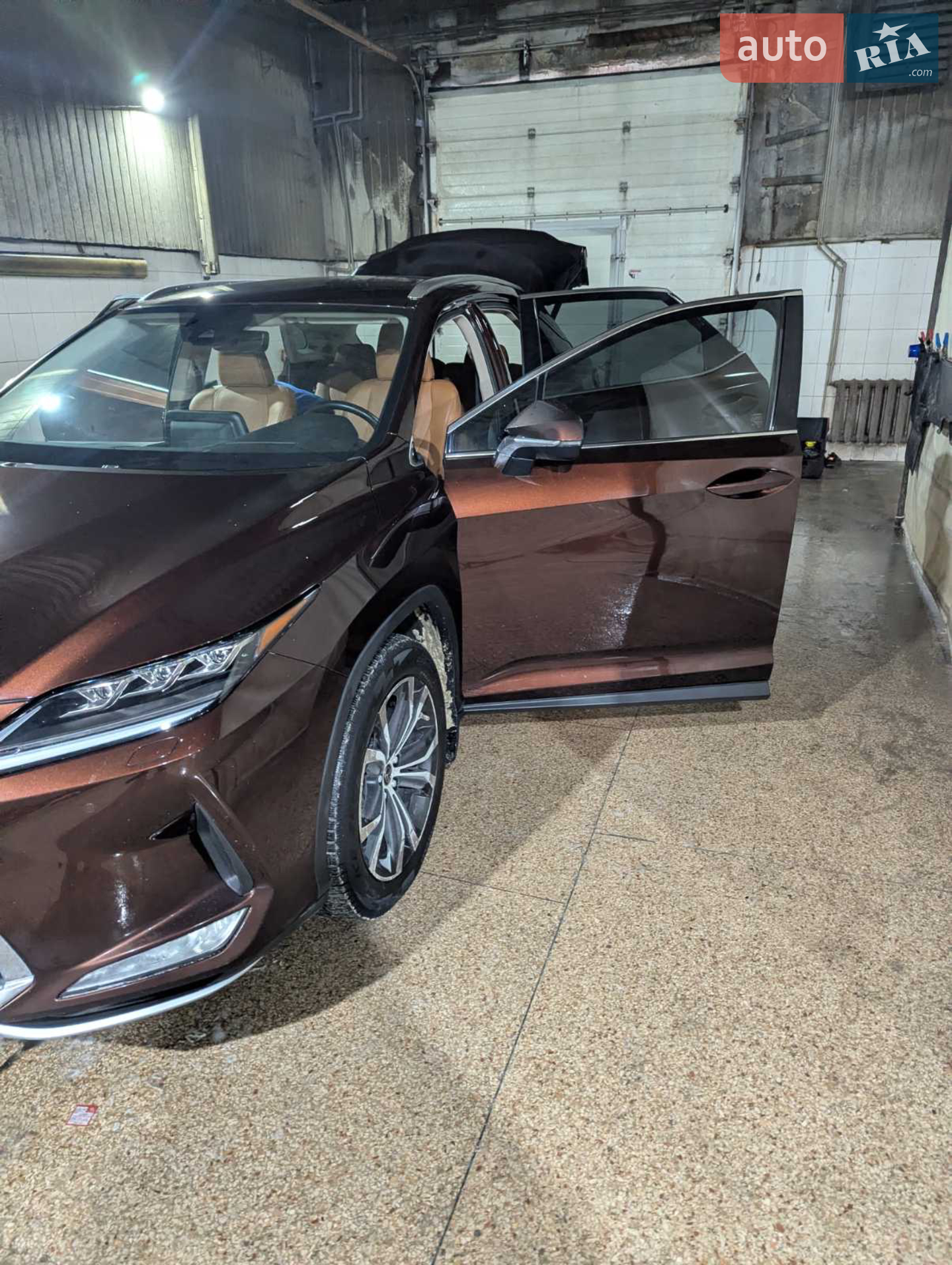 2019 Lexus RX - мініатюра 2
