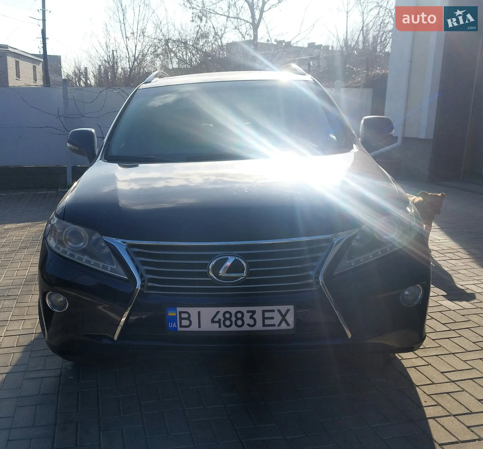 2013 Lexus RX - фото 1