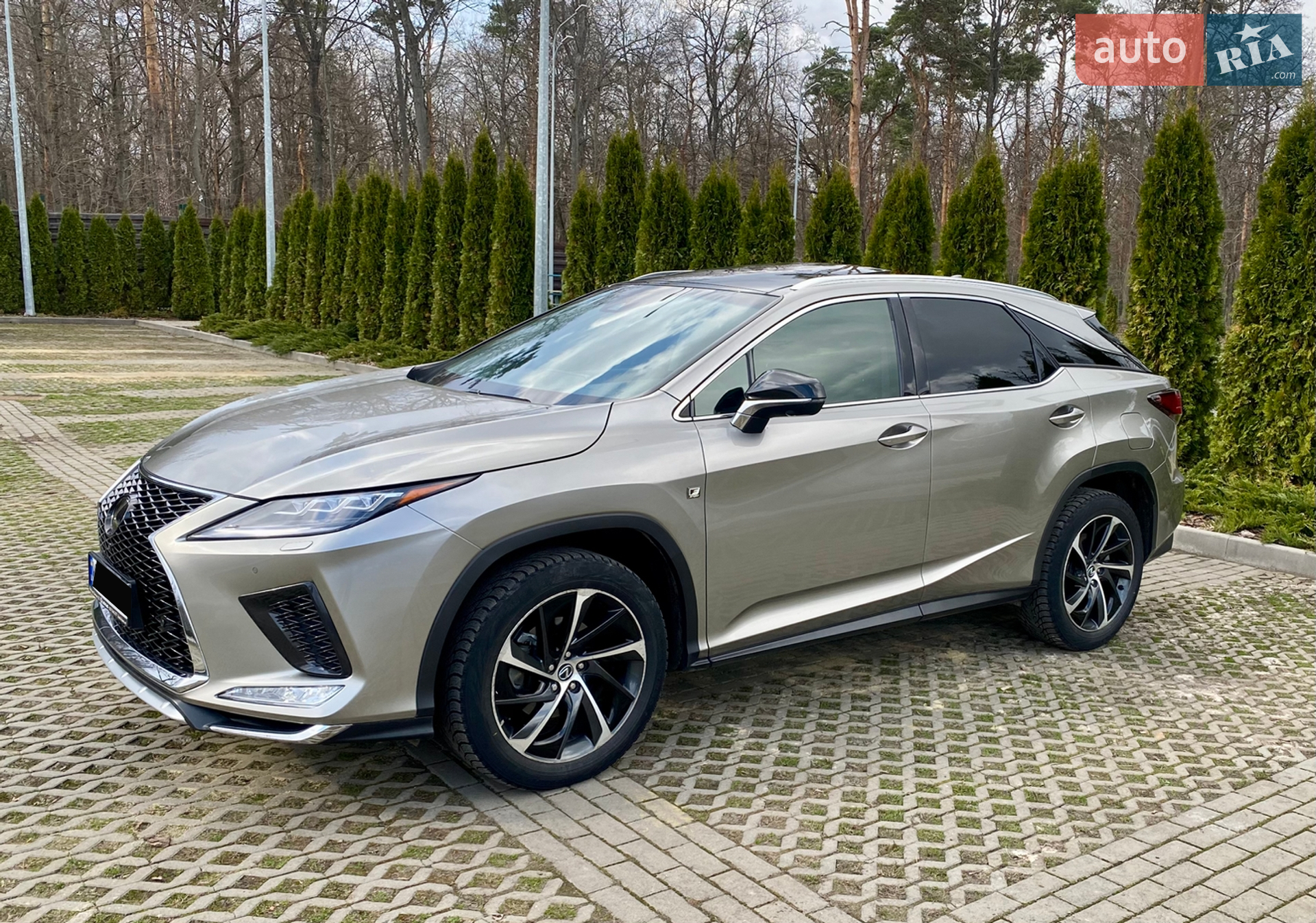 2018 Lexus RX - мініатюра 13