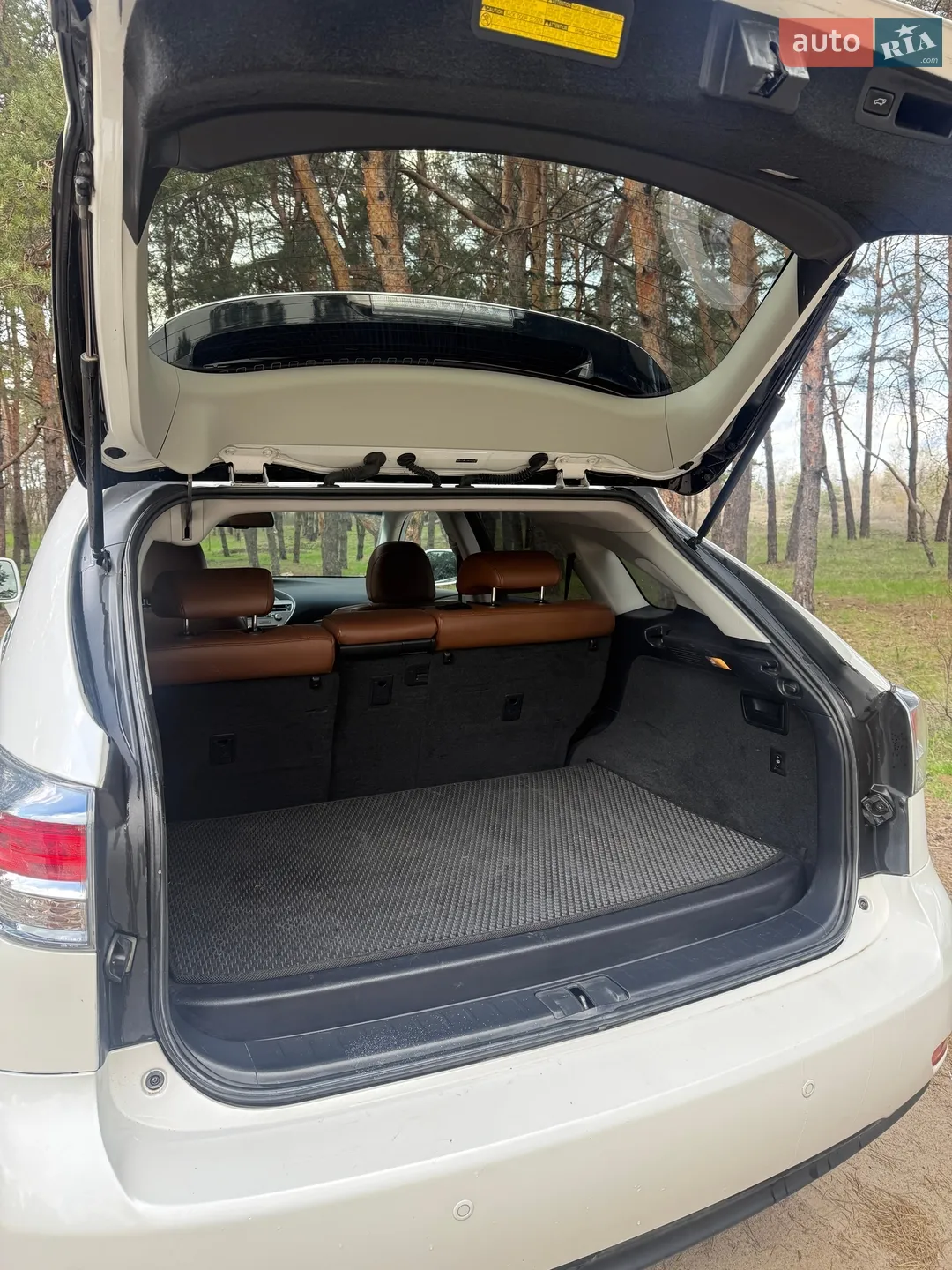 2012 Lexus RX - мініатюра 21