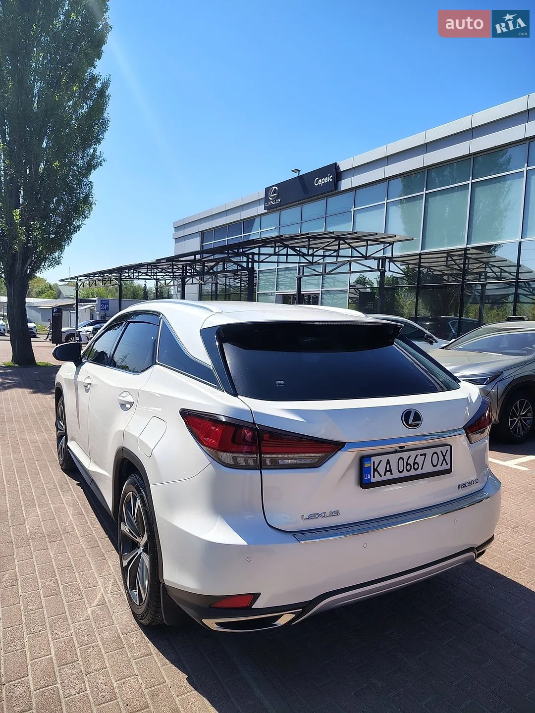 2019 Lexus RX - мініатюра 5