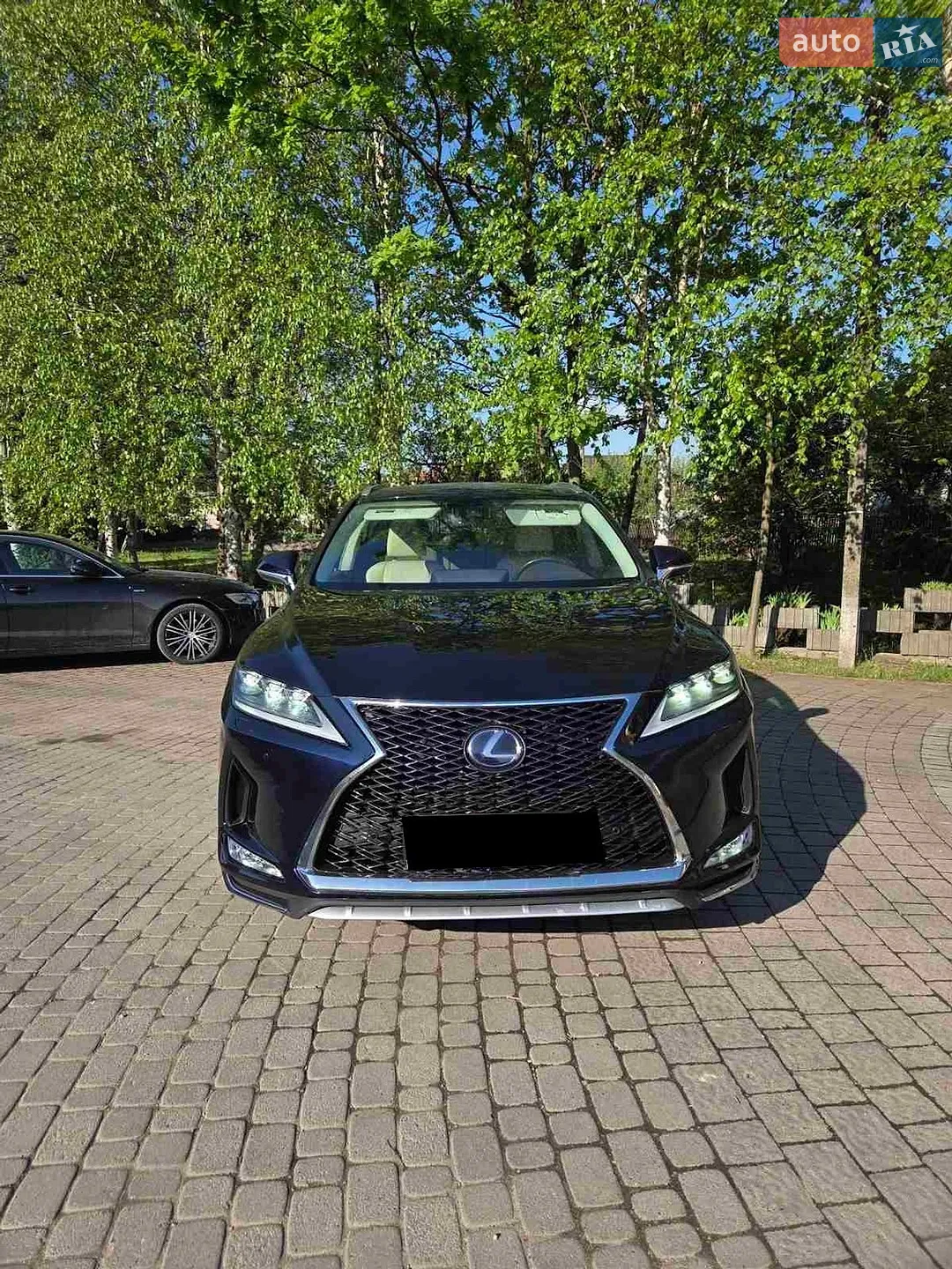 2019 Lexus RX - мініатюра 21