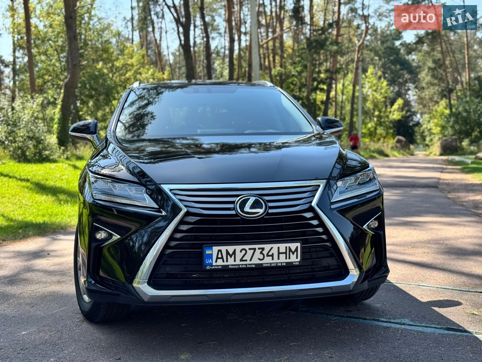 2019 Lexus RX - мініатюра 2