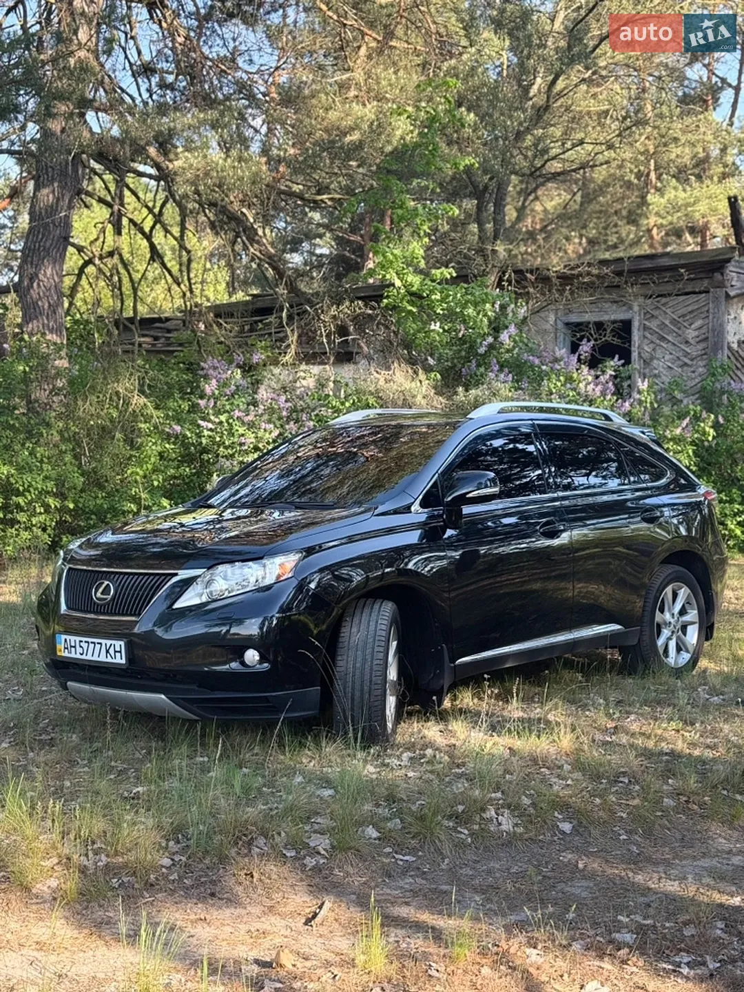 2011 Lexus RX - мініатюра 2