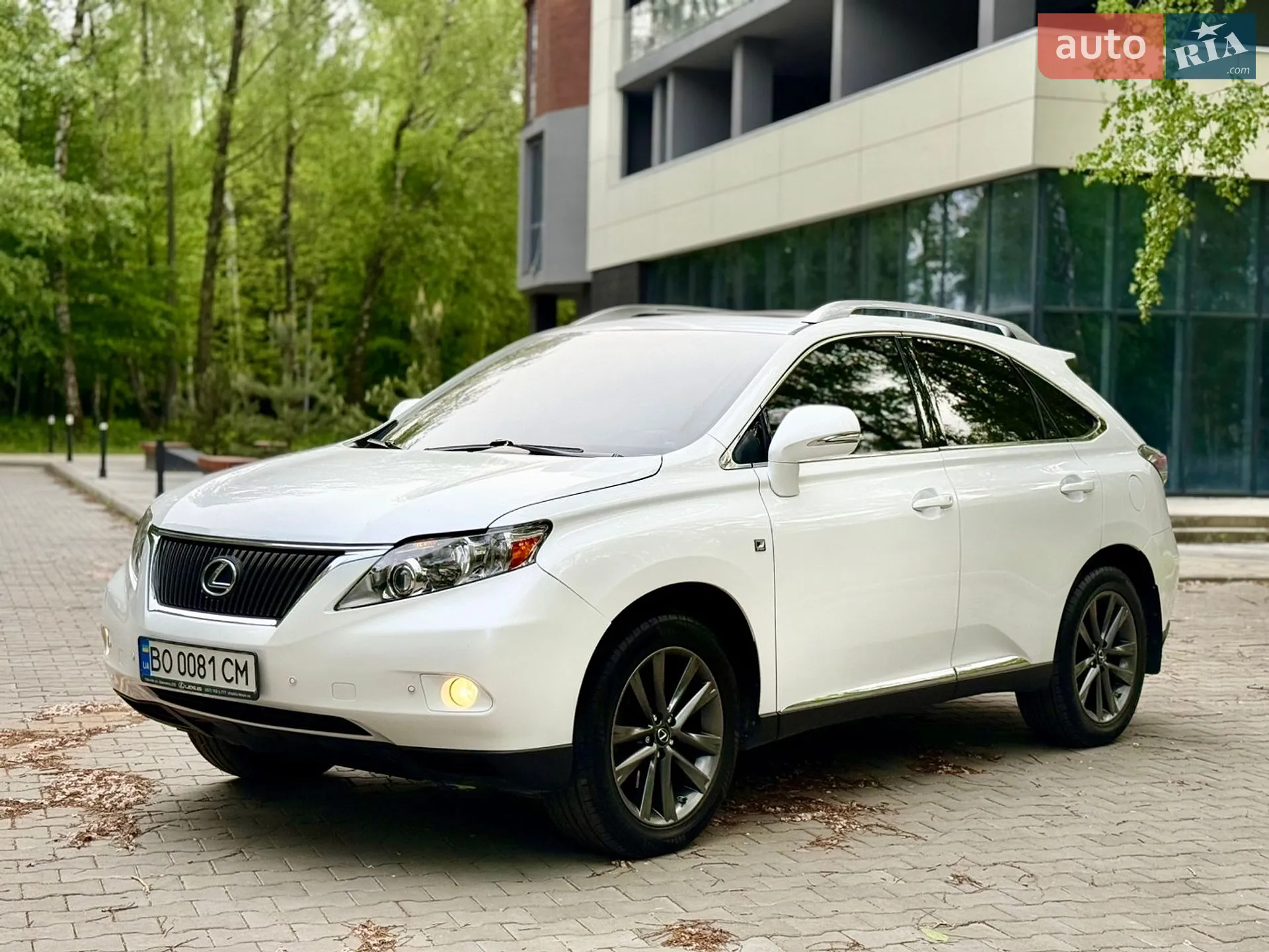 2010 Lexus RX - мініатюра 7