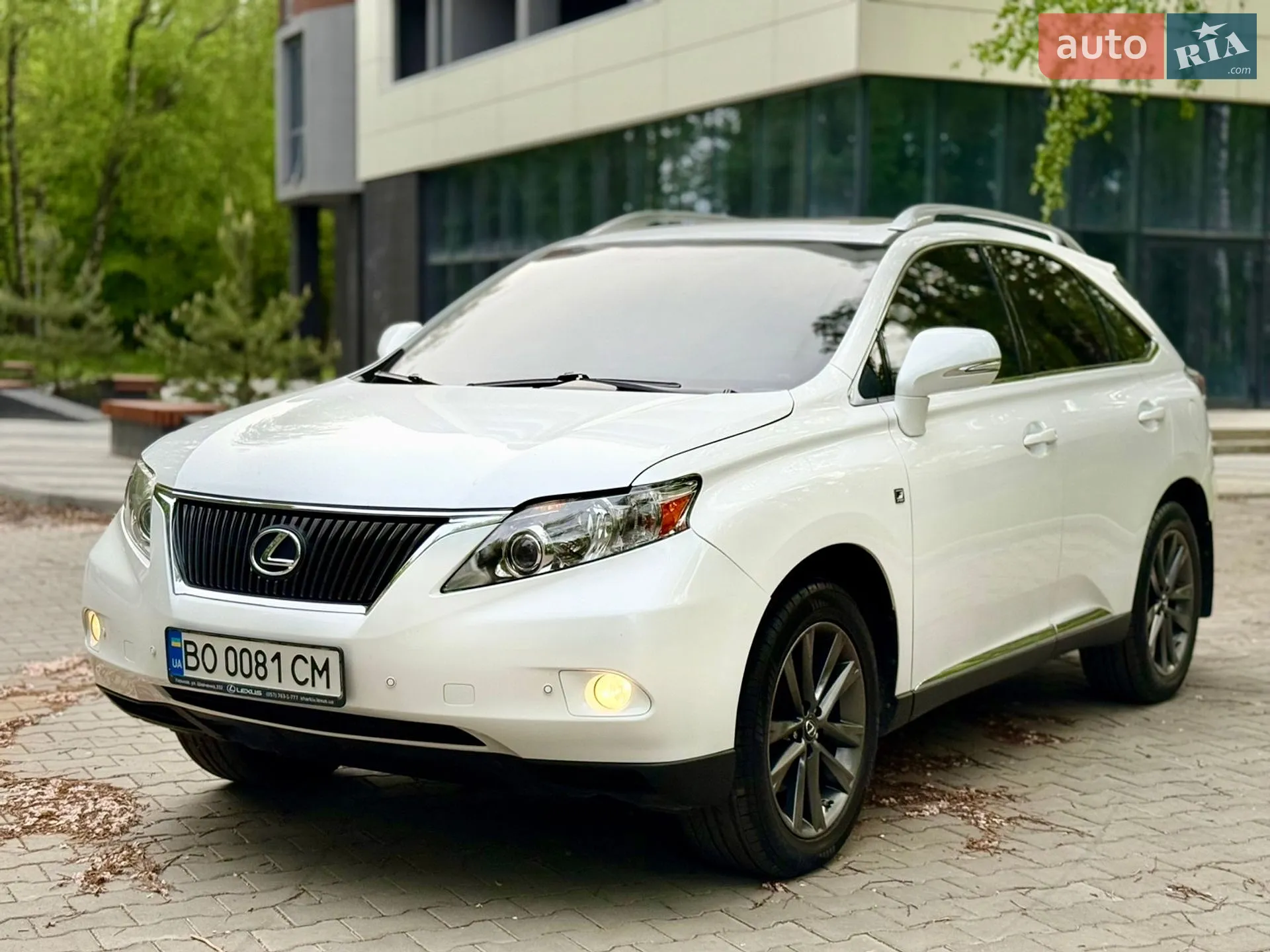 2010 Lexus RX - мініатюра 6