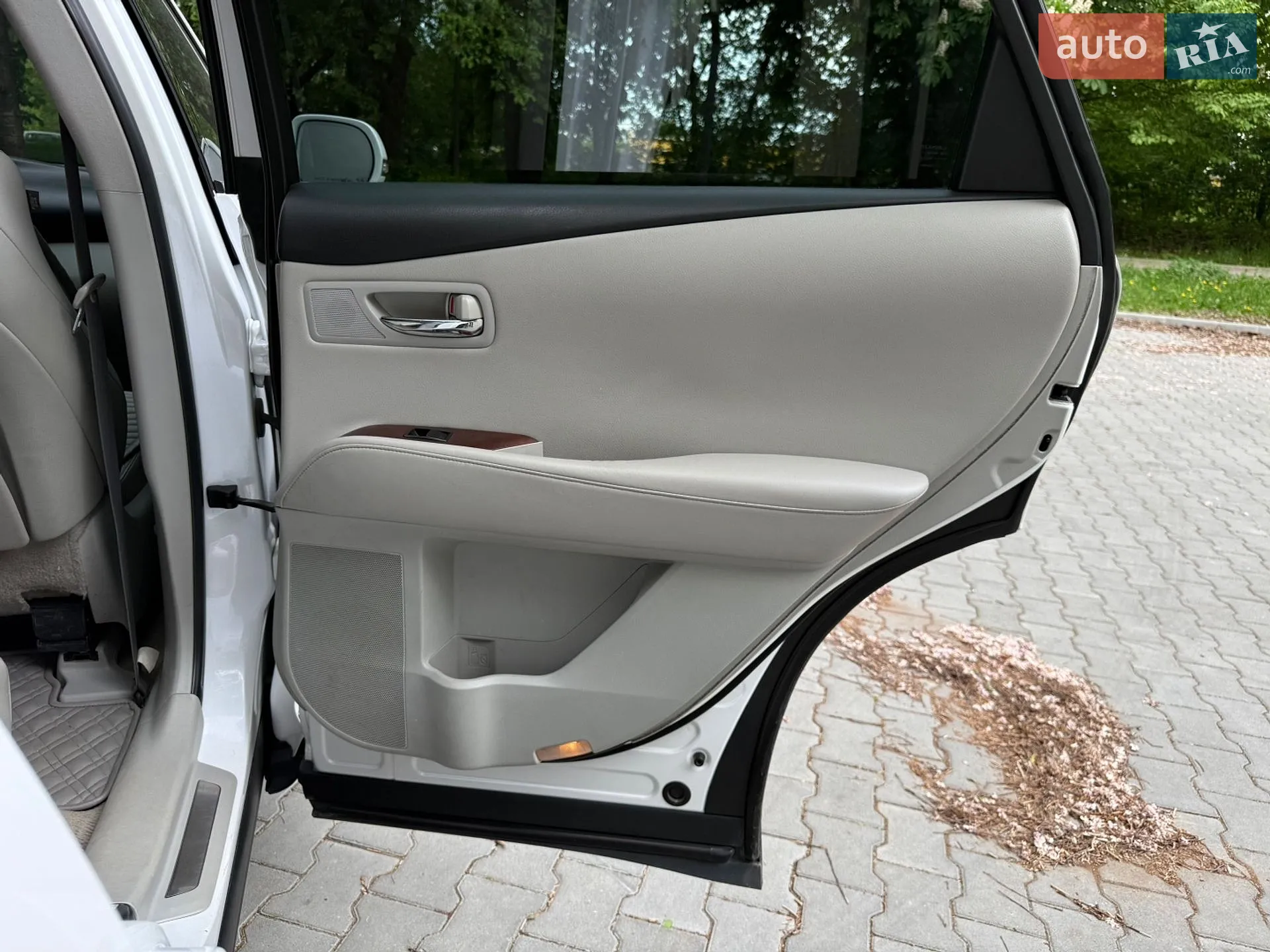 2010 Lexus RX - мініатюра 47