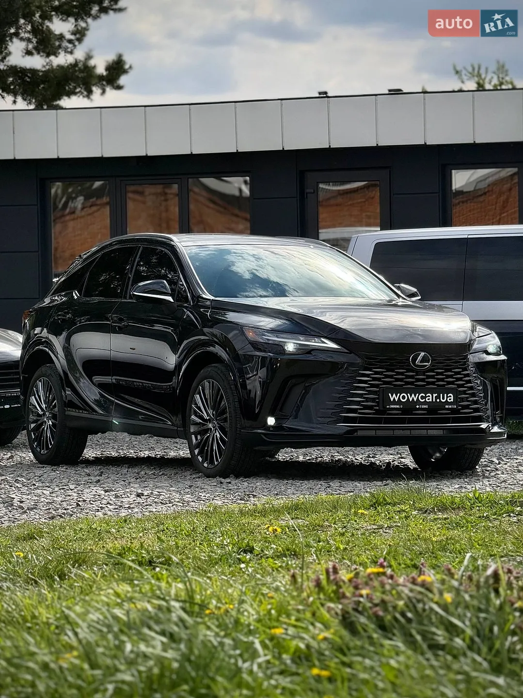 2024 Lexus RX - фото 1