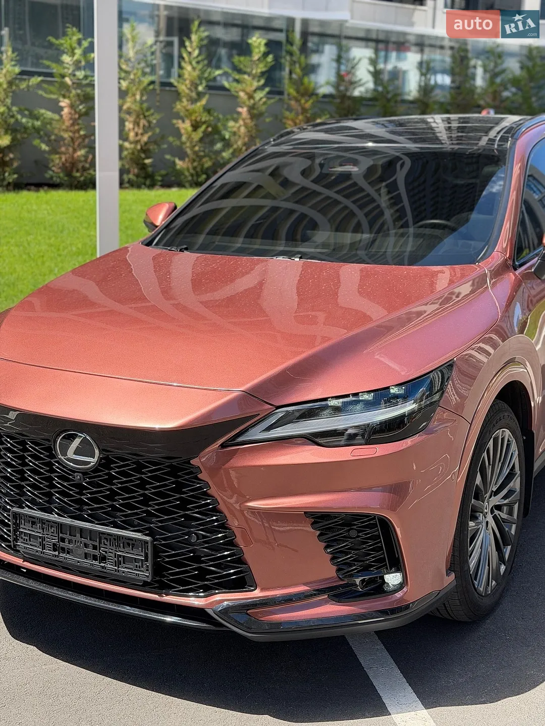 2024 Lexus RX - мініатюра 8