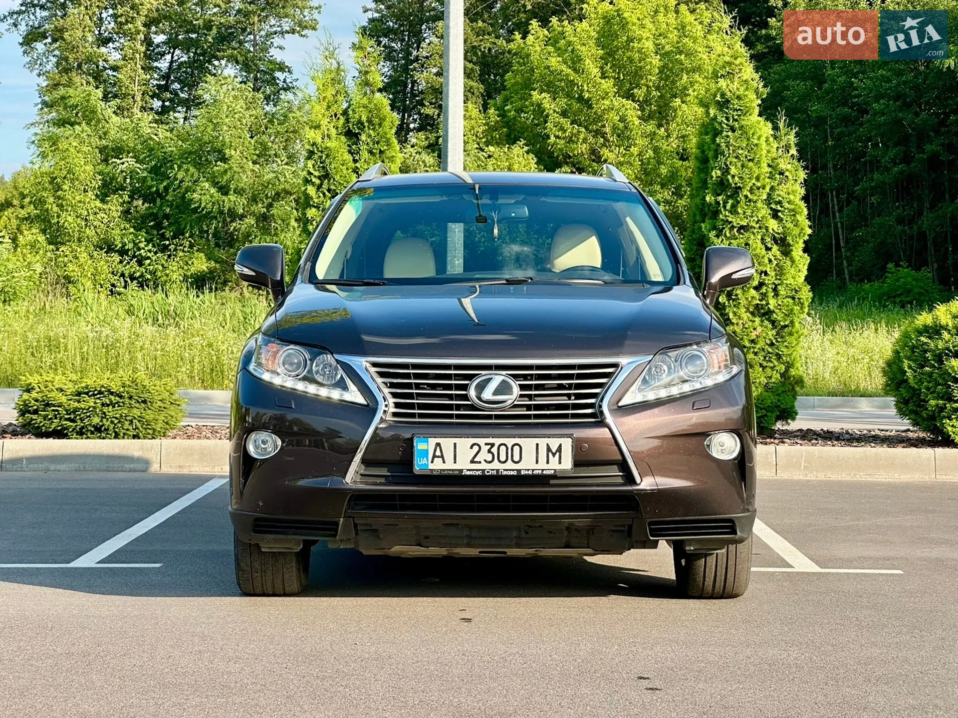 2012 Lexus RX - мініатюра 3