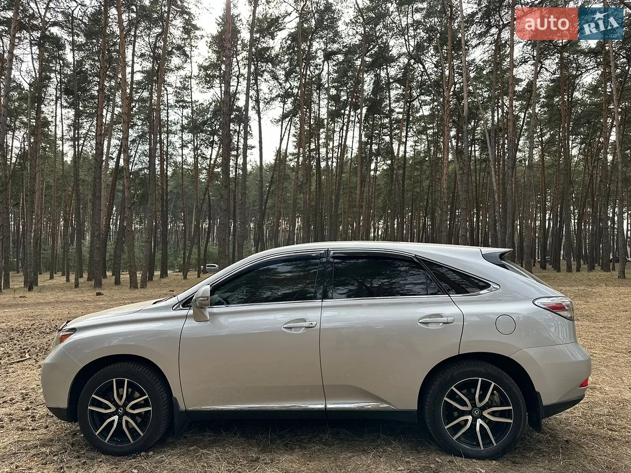 2010 Lexus RX - мініатюра 15