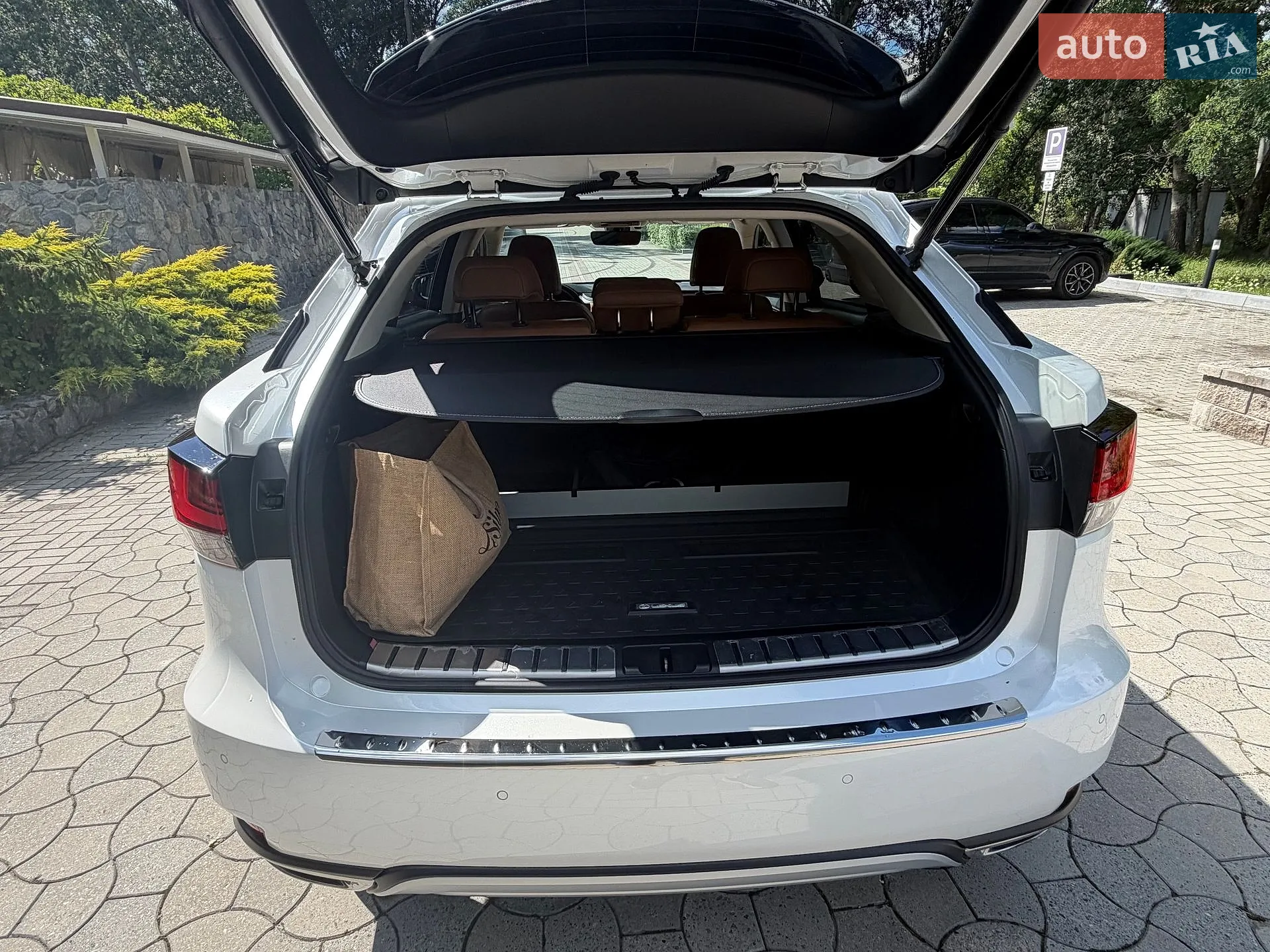 2020 Lexus RX - мініатюра 20