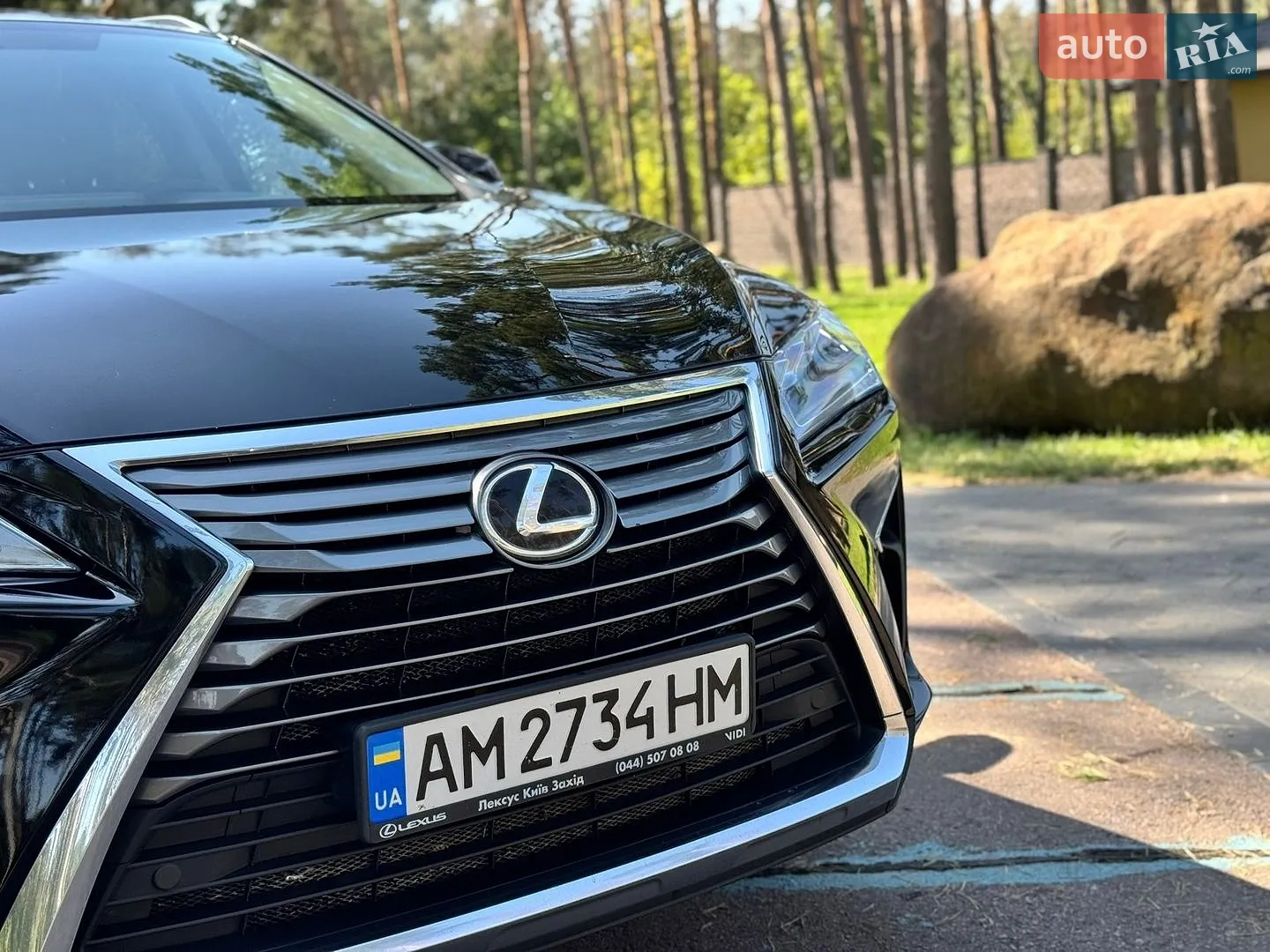 2019 Lexus RX - мініатюра 3