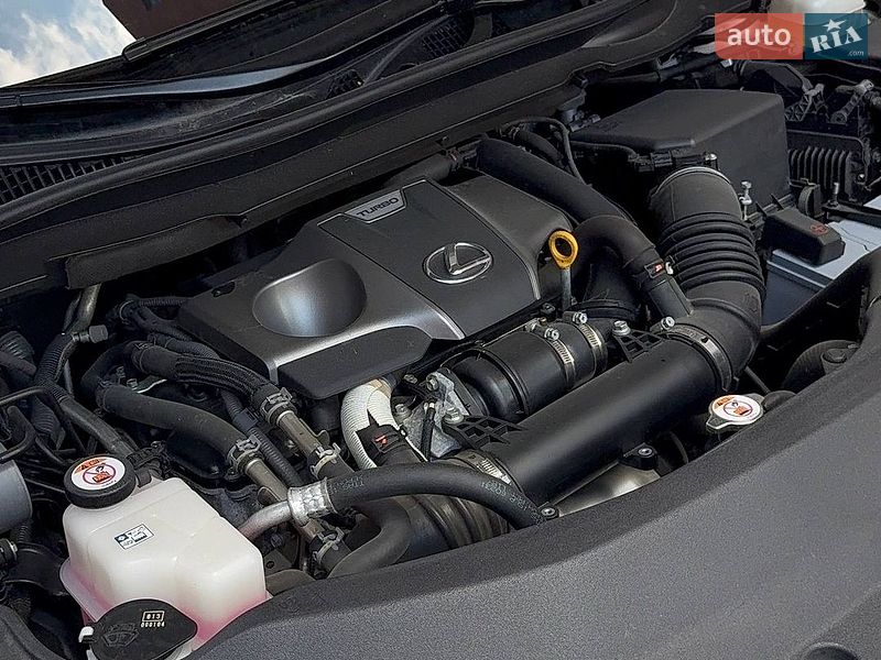 Внедорожник / Кроссовер Lexus RX 2020 в Днепре