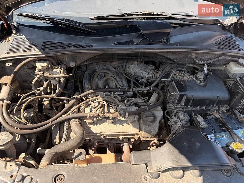 Внедорожник / Кроссовер Lexus RX 2003 в Бердичеве