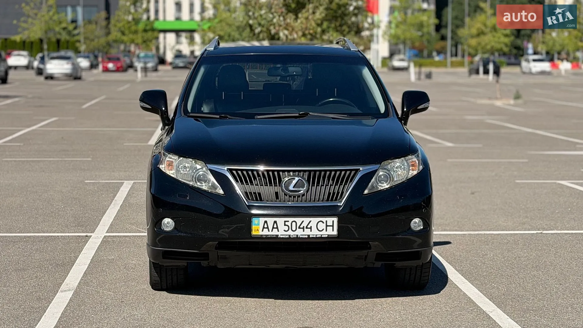 2010 Lexus RX - мініатюра 10