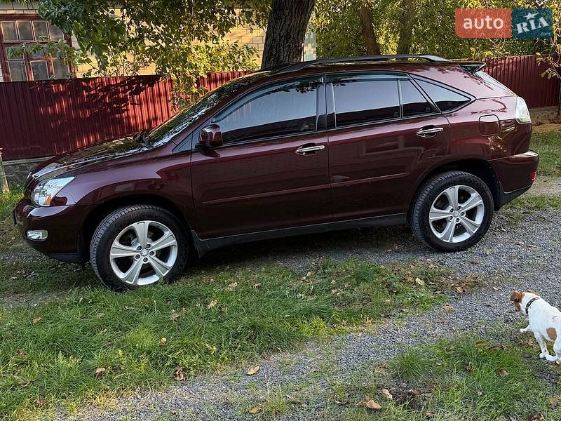 Позашляховик / Кросовер Lexus RX 2008 в Бершаді
