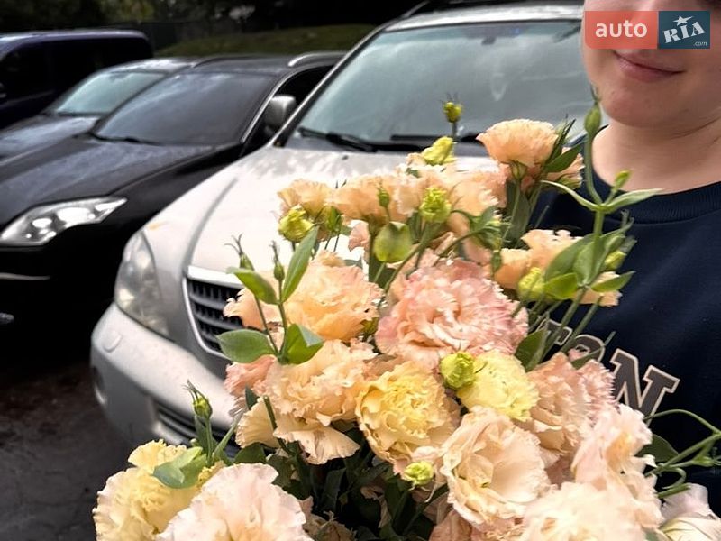 Внедорожник / Кроссовер Lexus RX 2005 в Ирклиеве