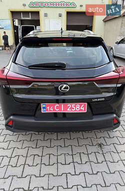 Позашляховик / Кросовер Lexus UX 2020 в 