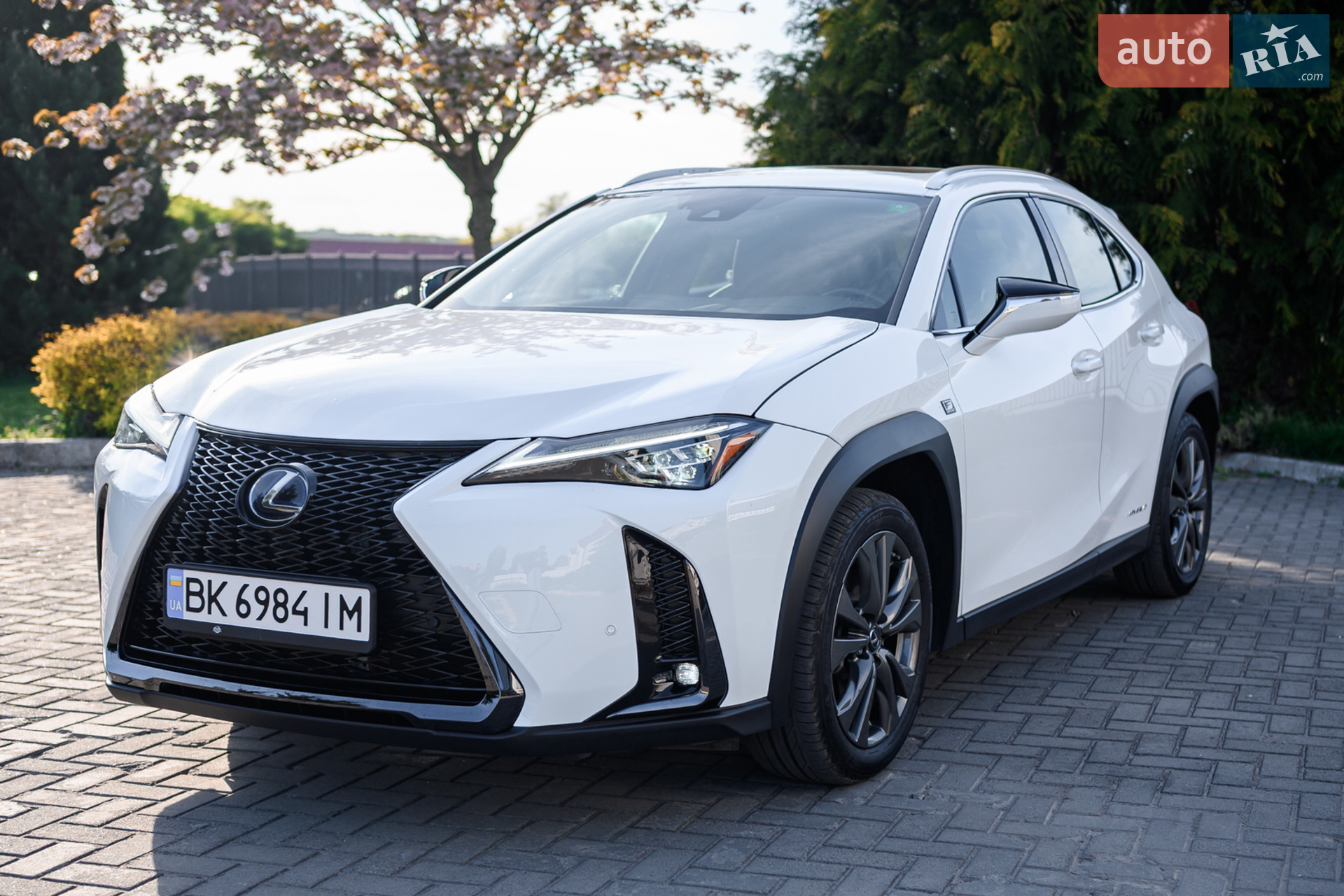 2019 Lexus UX - мініатюра 7