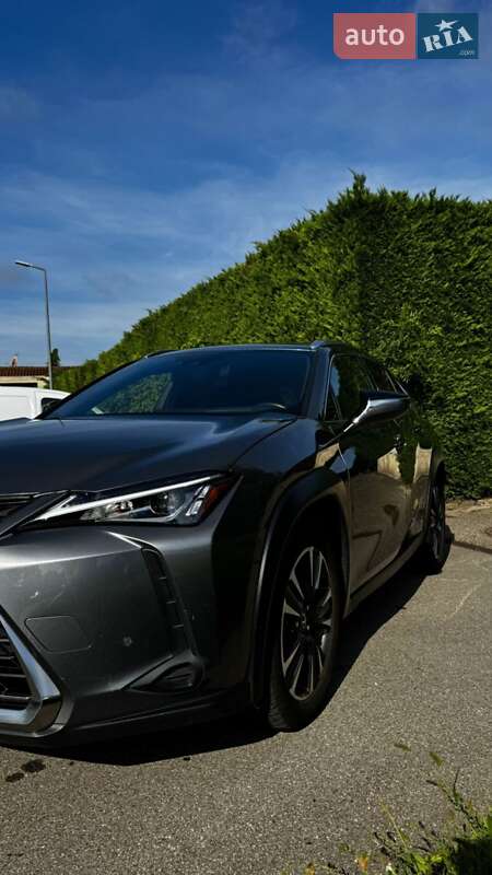 Внедорожник / Кроссовер Lexus UX 2019 в Киеве