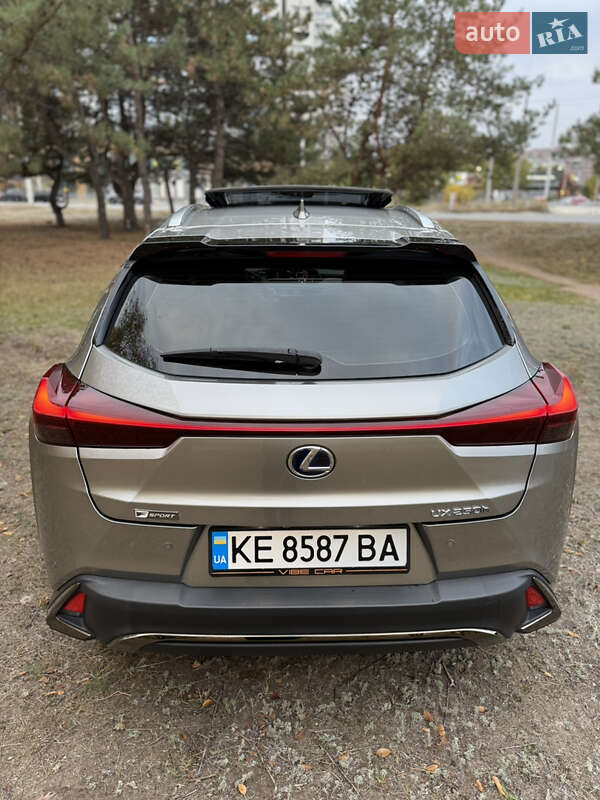 Внедорожник / Кроссовер Lexus UX 2020 в Днепре фото 8 Внедорожник / Кроссовер Lexus UX 2020 в Днепре